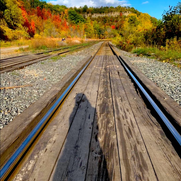 Meet your Posher, Elle - Picture 1 of 1